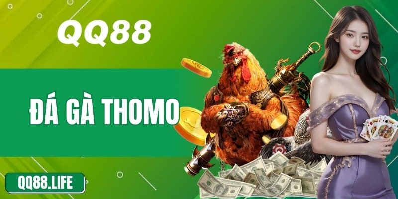 Đá Gà Thomo – Trải Nghiệm Cá Cược Đỉnh Cao Không Thể Bỏ Qua